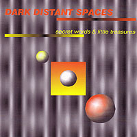 DARK DISTANT SPACES - SECRET WORDS & LITTLE TREASURES