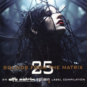 VARIOUS - SOUNDS FROM THE MATRIX 25